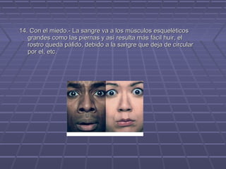 14. Con el miedo.- La sangre va a los músculos esqueléticos
grandes como las piernas y así resulta más fácil huir, el
rostro queda pálido, debido a la sangre que deja de circular
por el, etc.

 