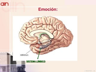 Emoción : SISTEMA LÍMBICO HIPOCAMPO 