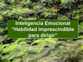 Inteligencia Emocional
“Habilidad imprescindible
para dirigir”

 