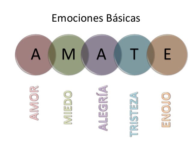 Resultado de imagen para las 6 emociones base