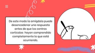 De este modo la amígdala puede
desencadenar una respuesta
antes de que los centros
corticales hayan comprendido
completamente lo que está
ocurriendo.
 