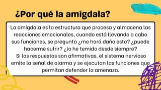 La amígdala es la estructura que procesa y almacena las
reacciones emocionales, cuando está llevando a cabo
sus funciones, se pregunta ¿me hará daño esto? ¿puede
hacerme sufrir? ¿lo he temido desde siempre?
Si las respuestas son afirmativas, el sistema nervioso
emite la señal de alarma y se ejecutan las funciones que
permitan defender la amenaza.
 