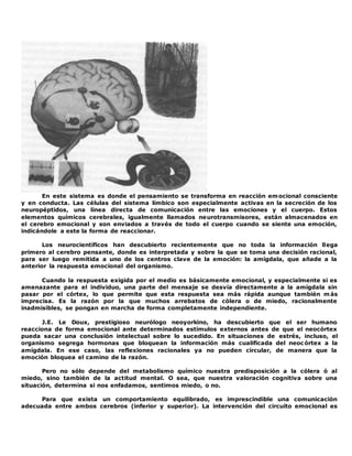 En este sistema es donde el pensamiento se transforma en reacción emocional consciente
y en conducta. Las células del sistema límbico son especialmente activas en la secreción de los
neuropéptidos, una línea directa de comunicación entre las emociones y el cuerpo. Estos
elementos químicos cerebrales, igualmente llamados neurotransmisores, están almacenados en
el cerebro emocional y son enviados a través de todo el cuerpo cuando se siente una emoción,
indicándole a este la forma de reaccionar.
Los neurocientíficos han descubierto recientemente que no toda la información llega
primero al cerebro pensante, donde es interpretada y sobre la que se toma una decisión racional,
para ser luego remitida a uno de los centros clave de la emoción: la amígdala, que añade a la
anterior la respuesta emocional del organismo.
Cuando la respuesta exigida por el medio es básicamente emocional, y especialmente si es
amenazante para el individuo, una parte del mensaje se desvía directamente a la amígdala sin
pasar por el córtex, lo que permite que esta respuesta sea más rápida aunque también m ás
imprecisa. Es la razón por la que muchos arrebatos de cólera o de miedo, racionalmente
inadmisibles, se pongan en marcha de forma completamente independiente.
J.E. Le Doux, prestigioso neurólogo neoyorkino, ha descubierto que el ser humano
reacciona de forma emocional ante determinados estímulos externos antes de que el neocórtex
pueda sacar una conclusión intelectual sobre lo sucedido. En situaciones de estrés, incluso, el
organismo segrega hormonas que bloquean la información más cualificada del neocórtex a la
amígdala. En ese caso, las reflexiones racionales ya no pueden circular, de manera que la
emoción bloquea el camino de la razón.
Pero no sólo depende del metabolismo químico nuestra predisposición a la cólera ó al
miedo, sino también de la actitud mental. O sea, que nuestra valoración cognitiva sobre una
situación, determina si nos enfadamos, sentimos miedo, o no.
Para que exista un comportamiento equilibrado, es imprescindible una comunicación
adecuada entre ambos cerebros (inferior y superior). La intervención del circuito emocional es
 