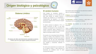 Origen biológico y psicológico
Está dividido en hemisferio derecho y
hemisferio izquierdo y a su vez cada uno de
ellos está dividido en cerebro racional o
cerebelo que participa en la coordinación y
mantenimiento del equilibrio y el cerebro
emocional o sistema límbico donde se originan
las emocionales.
El cerebro racional es utilizado el 10% y el
cerebro emocional un 90%. Lo que hace
necesario la educación de las emociones. El
cerebro emocional ejerce influencia en el
cerebro racional en situaciones determinadas
según el neurólogo Joseph Le Doux.
De acuerdo con el neurólogo Antonio Damasio,
cuando el cerebro toma decisiones lo hace
buscando el equilibrio emocional que afecta al
organismo. De allí que sea imprescindible
educar al cerebro emocional para que controle
sus instintos y emociones utilizando la
inteligencia.
El control de las emociones en el cerebro está
en el sistema límbico, a esta estructura la
denominan los científicos como “la parte
emocional del cerebro”.
Este sistema está constituido por tres elementos fundamen-
tales con funciones específicas:
El tálamo: envía mensajes sensoriales al neocortex, que es
la parte pensante del cerebro.
El hipocampo: controla la memoria a largo plazo y la
interpretación de lo que percibe el individuo.
La amígdala (del cerebro) es el centro del control
emocional.
Según el científico Eduardo Punset, existe un punto cero
emocional, en el cual se han formado los circuitos
neuronales que determinarán como el niño o niña afronta la
situación emocional a lo largo de su vida. Esta base queda
formada a los dos años de edad y se cierra, de allí que
siempre tendrá que acudir a esa base neuronal para
reaccionar frente a las exigencias de la vida. La clave del
desarrollo del cerebro emocional está en la relación
intersubjetiva del niño o niña con sus padres y personas de
su entorno, en sus primeros dos años de vida.
Científicos como Goleman y Larry Dorsy han descubierto
que los centros emocionales del cerebro están conectados
con el sistema inmunológico que lucha contra gérmenes y el
cáncer, así como el sistema cardiovascular. Cada emoción
prepara al cuerpo para actuar en forma específica.
El cerebro humano
MENÚ
Giro
cingulado
Tálamo
Amígdala
Pituitaria
Hipotálamo
Hipocampo
Cuerpo
mamilar
Glándula
pineal
Fornix
Sistema Límbico
El sistema del olfato está directmente conectado al sistema
límbico que es el que regula nuestras emociones
 