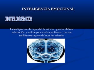 INTELIGENCIA EMOCIONAL




La inteligencia es la capacidad de asimilar , guardar elaborar
 información y utilizar para resolver problemas, cosa que
         también son capaces de hacer los animales.
 