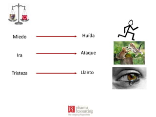 Miedo

Huída

Ira

Ataque

Tristeza

Llanto

 