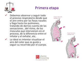 Primera etapa
 Debemos observar y seguir todo
el proceso respiratorio desde que
el aire entra por las fosas nasales
y llega hasta los pulmones,
tratando de darnos cuenta de las
sensaciones , del ritmo, de los
músculos que intervienen en el
proceso, de la diferencia entre el
inhalar y el exhalar, etc.
 Lo ideal es intentar visualizar el
aire del color que os guste y
seguir su recorrido por el cuerpo.

2º

1º
2º

1º

 