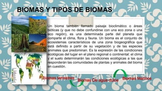 BIOMAS Y TIPOS DE BIOMAS
•
•
•
Un bioma también llamado paisaje bioclimático o áreas
bióticas (y que no debe confundirse con una eco zona o una
eco región), es una determinada parte del planeta que
comparte el clima, flora y fauna. Un bioma es el conjunto de
ecosistemas característicos de una zona biogeográfica que
está definido a partir de su vegetación y de las especies
animales que predominan. Es la expresión de las condiciones
ecológicas del lugar en el plano regional o continental: el clima
y el suelo determinarán las condiciones ecológicas a las que
responderán las comunidades de plantas y animales del bioma
en cuestión.
 