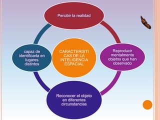 CARACTERISTI
CAS DE LA
INTELIGENCIA
ESPACIAL
Percibir la realidad
Reproducir
mentalmente
objetos que han
observado
Reconocer el objeto
en diferentes
circunstancias
capaz de
identificarla en
lugares
distintos
 