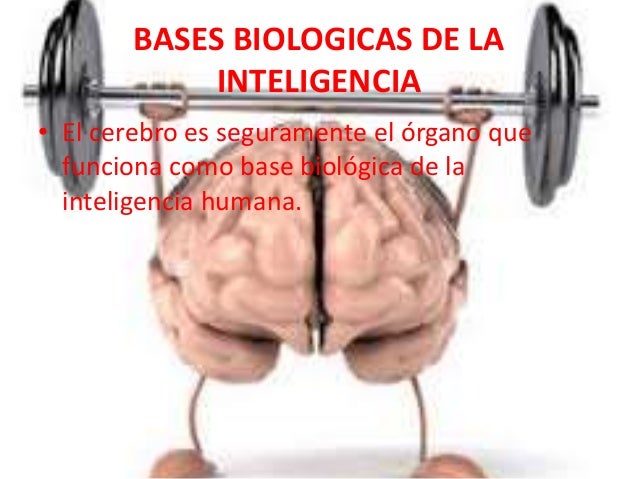 Resultado de imagen para teorias biologicas de la inteligencia
