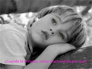 ¿Cuando te enfadas, sabes exactamente por que?
 