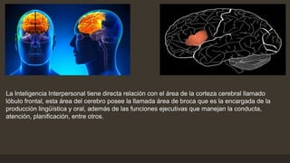 La Inteligencia Interpersonal tiene directa relación con el área de la corteza cerebral llamado
lóbulo frontal, esta área del cerebro posee la llamada área de broca que es la encargada de la
producción lingüística y oral, además de las funciones ejecutivas que manejan la conducta,
atención, planificación, entre otros.
 