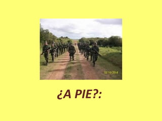 ¿A PIE?:
 