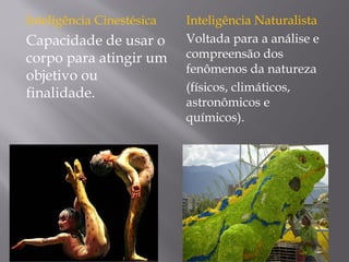 Inteligência Cinestésica
Capacidade de usar o
corpo para atingir um
objetivo ou
finalidade.
Inteligência Naturalista
Voltada para a análise e
compreensão dos
fenômenos da natureza
(físicos, climáticos,
astronômicos e
químicos).
 