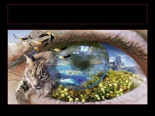 Inteligência Naturalista
 