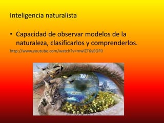 Inteligencia naturalistaCapacidad de observar modelos de la naturaleza, clasificarlos y comprenderlos.http://www.youtube.com/watch?v=mwlZT6yEOF0