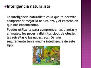  Inteligencia   naturalista

 La inteligencia naturalista es la que te permite
 comprender mejor la naturaleza y el entorno en
 que nos encontramos.
 Puedes utilizarla para comprender las plantas y
 animales, los peces y distintos tipos de oleaje,
 las estrellas o las nubes, etc. Darwin
 seguramente tenía mucha inteligencia de éste
 tipo.
 