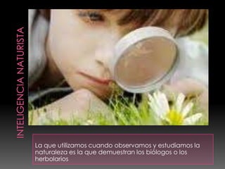 La que utilizamos cuando observamos y estudiamos la
naturaleza es la que demuestran los biólogos o los
herbolarios
 