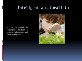 Inteligencia naturalistaEs la capacidad de distinguir clasificar y utilizar  elementos del medio ambiente .