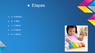 ● Etapas
● 0 - 8 MESES
● 8 - 1 AÑO
● 1 - 3 AÑOS
● 3 - 5 AÑOS
● 5 - 7 AÑOS
 