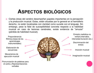 ASPECTOS BIOLÓGICOS
 Ciertas áreas del cerebro desempeñan papeles importantes en la percepción
y la producción musical. Estas, están situadas por lo general en el hemisferio
derecho, no están localizadas con claridad como sucede con el lenguaje. Sin
embargo, pese la fatal de susceptibilidad concreta respecto a la habilidad
musical en caso de lesiones cerebrales, existe evidencia de "amusia"
(pérdida de habilidad musical).
Preponderancia
Rítmica (base de los
aprendizajes
instrumentales)
Elaboración de
secuencias
Mecanismos de
ejecución musical
Pronunciación de palabras para
el canto y Representaciones
verbales
Emisión melódica no
verbal (intervalos,
intensidad duración etc.)
Discriminación del
timbre
Intuición musical
Imaginación musical
 