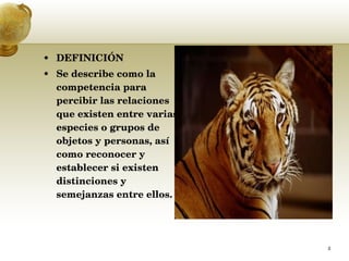 DEFINICIÓN Se describe como la competencia para percibir las relaciones que existen entre varias especies o grupos de objetos y personas, así como reconocer y establecer si existen distinciones y semejanzas entre ellos.  