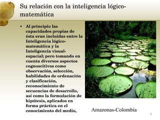 Su relación con la inteligencia lógico-matemática  Al principio las capacidades propias de ésta eran incluidas entre la Inteligencia lógico-matemática y la Inteligencia visual-espacial; pero tomando en cuenta diversos aspectos cognoscitivos como observación, selección, habilidades de ordenación y clasificación, reconocimiento de secuencias de desarrollo, así como la formulación de hipótesis, aplicados en forma práctica en el conocimiento del medio,  Amazonas-Colombia  