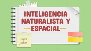 INTELIGENCIA
NATURALISTA Y
ESPACIAL
EQUIPO
7
DNM12M
 