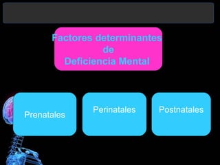 Factores determinantes
de
Deficiencia Mental

Prenatales

Perinatales

Postnatales

 