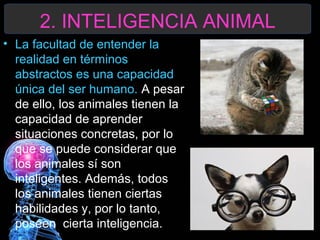 2. INTELIGENCIA ANIMAL
• La facultad de entender la
realidad en términos
abstractos es una capacidad
única del ser humano. A pesar
de ello, los animales tienen la
capacidad de aprender
situaciones concretas, por lo
que se puede considerar que
los animales sí son
inteligentes. Además, todos
los animales tienen ciertas
habilidades y, por lo tanto,
poseen cierta inteligencia.

 