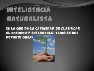 INTELIGENCIA NATURALISTAEs la que da la capacidad de clasificar el entorno y entenderlo. También nos permite organizarnos.