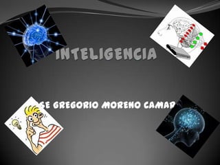 INTELIGENCIA JOSE GREGORIO MORENO CAMARGO 
