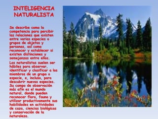 INTELIGENCIA
  NATURALISTA

Se describe como la
competencia para percibir
las relaciones que existen
entre varias especies o
grupos de objetos y
personas, así como
reconocer y establecer si
existen distinciones y
semejanzas entre ellos.
Los naturalistas suelen ser
hábiles para observar,
identificar y clasificar a los
miembros de un grupo o
especie, e, incluso, para
descubrir nuevas especies.
Su campo de observación
más afín es el mundo
natural, donde pueden
reconocer flora, fauna y
utilizar productivamente sus
habilidades en actividades
de caza, ciencias biológicas
y conservación de la
naturaleza.
 