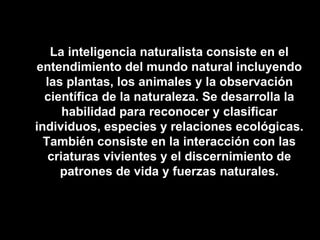 La inteligencia naturalista consiste en el entendimiento del mundo natural incluyendo las plantas, los animales y la observación científica de la naturaleza. Se desarrolla la habilidad para reconocer y clasificar individuos, especies y relaciones ecológicas. También consiste en la interacción con las criaturas vivientes y el discernimiento de patrones de vida y fuerzas naturales. 