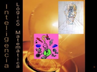 Inteligencia Lógico Matemática 
