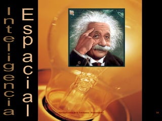 Inteligencia Espacial 