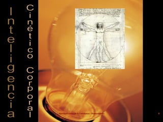 Inteligencia Cinético Corporal 