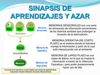 SINAPSIS DE
APRENDIZAJES Y AZAR
Mirar Oír Tocar
Evento
Memoria
MEMORIAS SENSORIALES son una serie
de almacenes de información provenientes
de los distintos sentidos que prolongan la
duración de la estimulación.
MEMORIA OPERATIVA (DE CORTO
PLAZO) es el sistema donde el individuo
maneja la información a partir de la cual
está interactuando con el ambiente.
MEMORIA DE LARGO PLAZO es una
«base de datos» en la que se inserta la
información a través de la «Memoria
Operativa», para poder posteriormente
hacer uso de ella.
Memorias
Sensoriales
Memoria de
Operativa
Memoria de
largo plazo
El proceso de la memoria es un acto cognitivo que incluye las siguientes fases:
Comprensión, Fijación, Retención, Evocación, Reconocimiento.
 