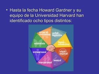 Hasta la fecha Howard Gardner y su equipo de la Universidad Harvard han identificado ocho tipos distintos: 