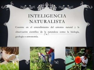 Inteligencia NaturalistaConsiste en el entendimiento del entorno natural y la observación científica de la naturaleza como la biología, geología o astronomía.