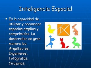 Inteligencia Espacial Es la capacidad de utilizar y reconocer espacios amplios y comprimidos. La desarrollan en gran manera los Arquitectos, Ingenieros, Fotógrafos, Cirujanos . 