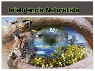 Inteligencia Naturalista
 