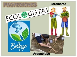 Arqueólogo
Jardineros
 