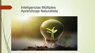 Inteligencias Múltiples
Aprendizaje Naturalista
 