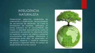 INTELIGENCIA
NATURALISTA
Observación, selección, habilidades de
ordenación y clasificación, reconocimiento
de secuencias de desarrollo, así como la
formulación de hipótesis, aplicados en
forma práctica en el conocimiento del
medio. e describe esencialmente como la
capacidad de percibir las relaciones entre
las especies y grupos de objetos y personas
reconociendo las posibles diferencias o
semejanzas entre ellos. Se especializa en
identificar, observar y clasificar miembros
de grupos o especies siendo el campo de
observación el mundo natural
 