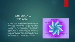 INTELIGENCIA
ESPACIAL
La resolución de problemas espaciales se
aplica a la navegación y al uso de mapas
como sistema notacional. Otro tipo de
solución a los problemas espaciales,
aparece en la visualización de un objeto
visto desde un ángulo diferente y en el
juego del ajedrez. También se emplea este
tipo de inteligencia en las artes visuales.
 