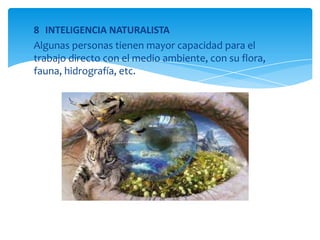 8 INTELIGENCIA NATURALISTA
Algunas personas tienen mayor capacidad para el
trabajo directo con el medio ambiente, con su flora,
fauna, hidrografía, etc.
 