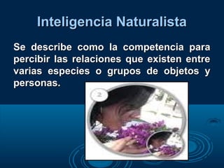 Inteligencia NaturalistaInteligencia Naturalista
Se describe como la competencia paraSe describe como la competencia para
percibir las relaciones que existen entrepercibir las relaciones que existen entre
varias especies o grupos de objetos yvarias especies o grupos de objetos y
personas.personas.
 