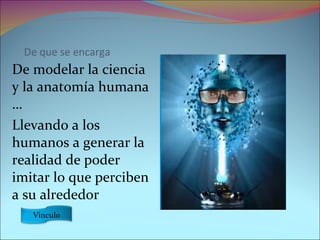 De que se encarga  De modelar la ciencia y la anatomía humana … Llevando a los humanos a generar la realidad de poder imitar lo que perciben a su alrededor  Vinculo 
