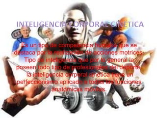 INTELIGENCIA INTRAPERSONAL